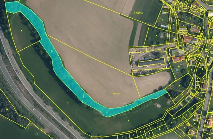 Prodej lesa, Žďárek, 11675 m2