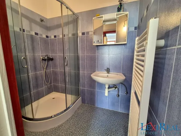 Prodej vícegeneračního domu, Kasejovice, 433 m2