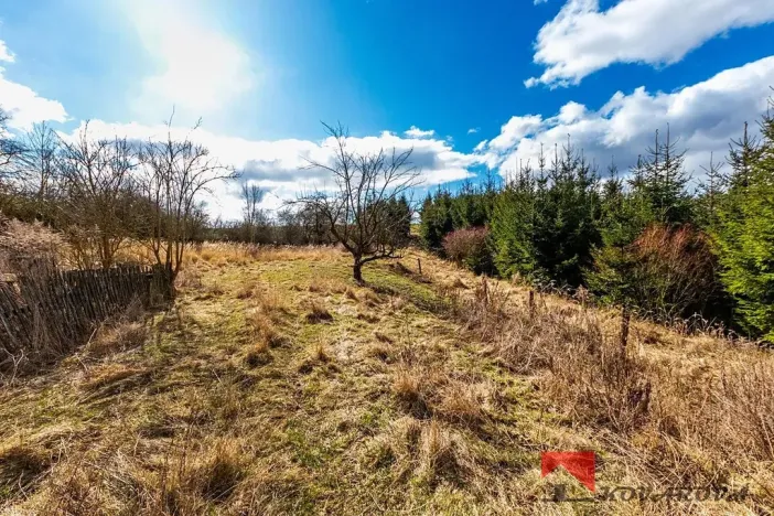 Prodej pozemku pro bydlení, Řepín, 707 m2