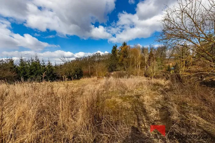 Prodej pozemku pro bydlení, Řepín, 707 m2