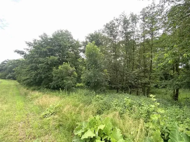 Dražba pozemku, Prusinovice, 2368 m2