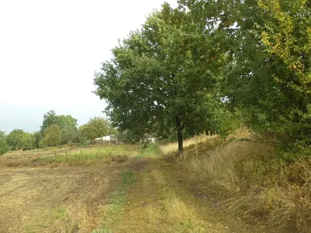 Dražba louky, Horní Pěna, 1083 m2