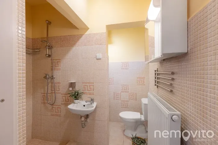 Prodej restaurace, Týnec nad Sázavou, 479 m2