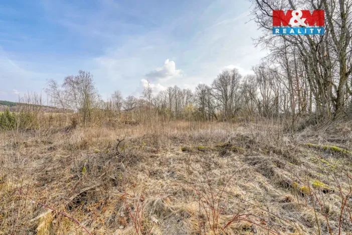 Prodej pozemku pro bydlení, Třemešné - Nová Ves, 1482 m2