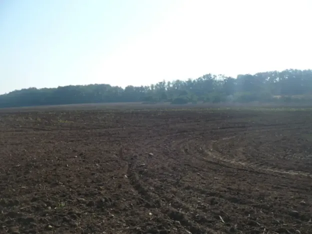 Prodej komerčního pozemku, Veltrusy, 55948 m2