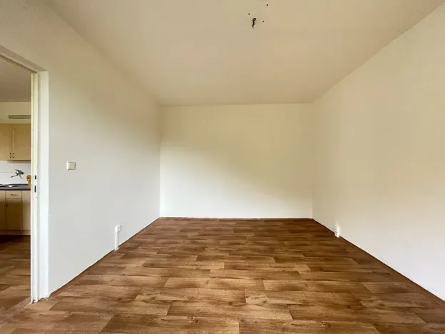 Pronájem bytu 1+1, Litvínov, Tylova, 38 m2