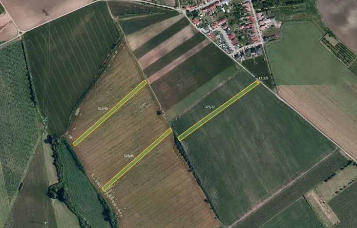 Prodej pole, Nový Poddvorov, 12492 m2