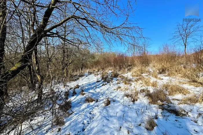 Prodej pozemku pro bydlení, Letovice, 1845 m2