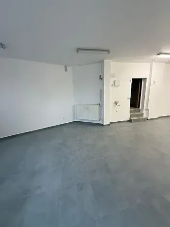 Pronájem vícegeneračního domu, Mladá Boleslav, Jiráskova, 490 m2