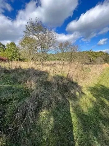 Prodej lesa, Březolupy, 1340 m2