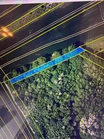 Prodej lesa, Březolupy, 910 m2