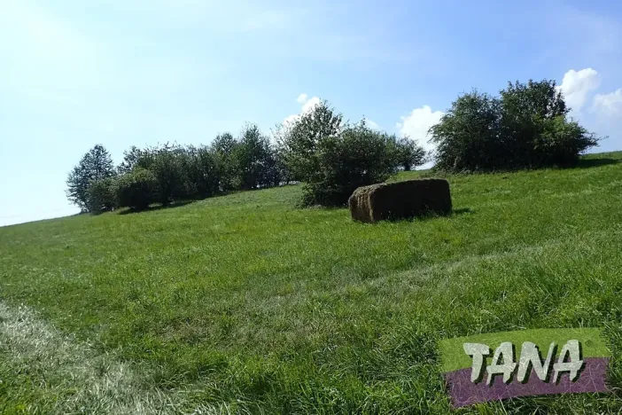 Prodej louky, Hodkovice nad Mohelkou, 49051 m2