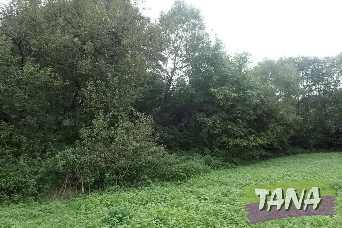 Prodej podílu pozemku pro bydlení, Mladějov, 382 m2