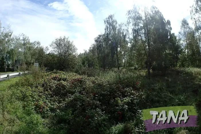 Prodej komerčního pozemku, Mnichovo Hradiště, 7495 m2