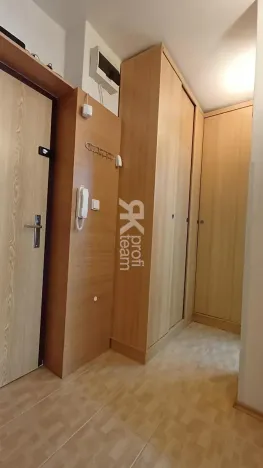 Pronájem bytu 1+1, Ostrava, Lužická, 39 m2