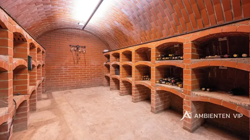 Prodej rodinného domu, Moravany, V Jámách, 382 m2