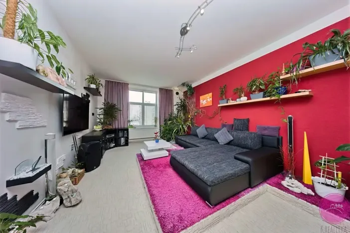 Prodej bytu 3+1, Olomouc, Palackého, 127 m2