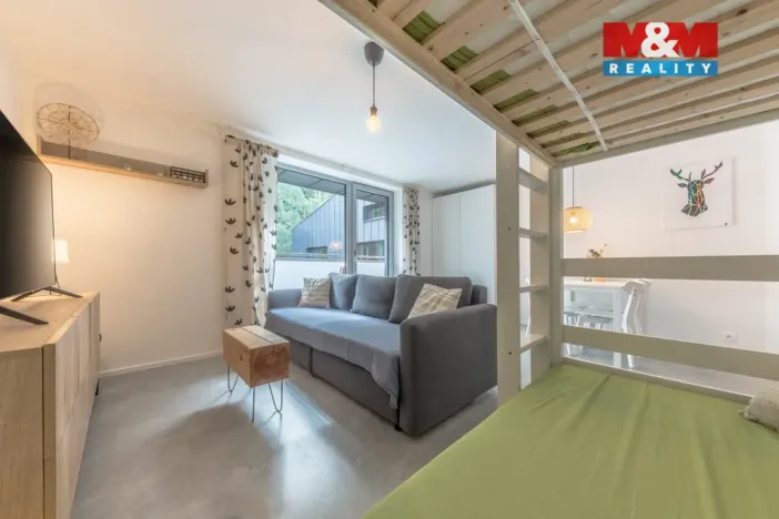 Prodej bytu 1+kk, Janov nad Nisou, 29 m2