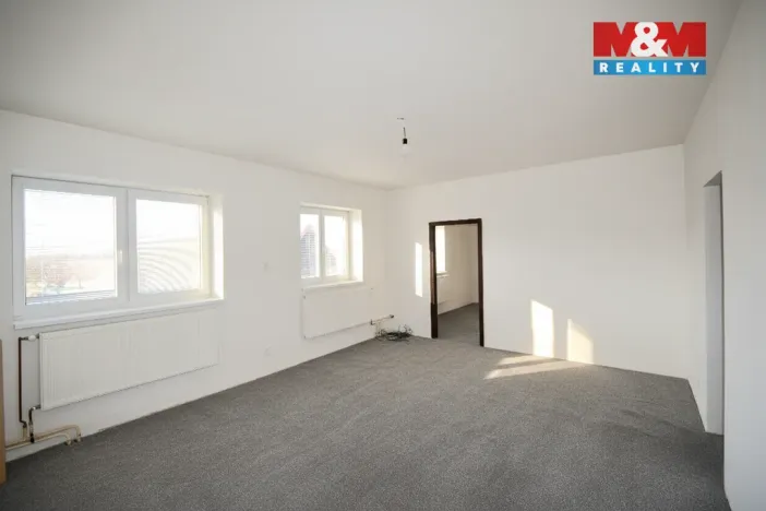 Prodej rodinného domu, Město Albrechtice - Opavice, 250 m2