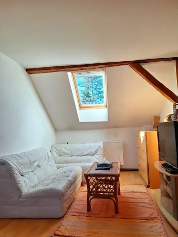 Prodej chalupy, Svojšín, 246 m2