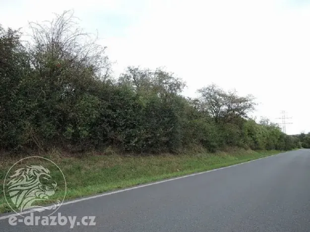 Dražba pozemku, Třebichovice, 6533 m2