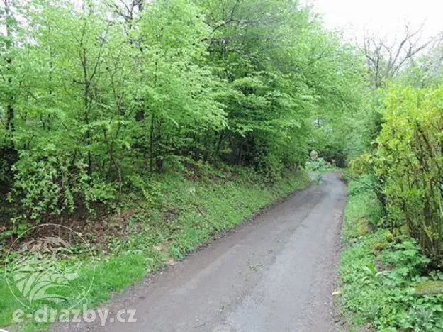 Dražba pozemku, Medonosy, 15430 m2