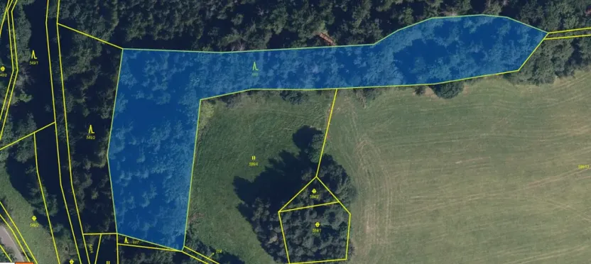 Prodej lesa, Zborov, 9290 m2