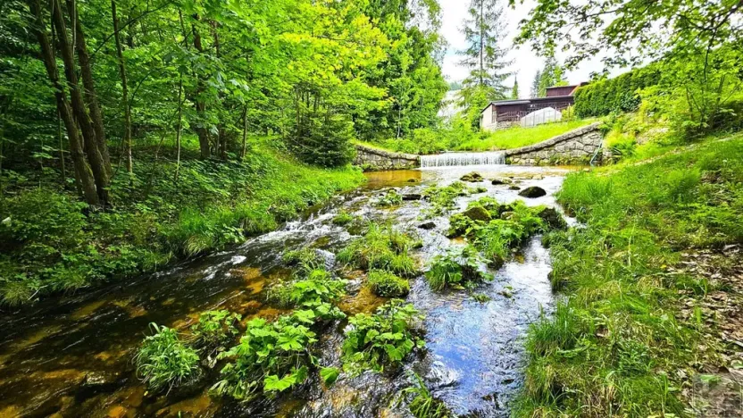 Prodej pozemku, Desná - Desná I, Údolní, 1668 m2