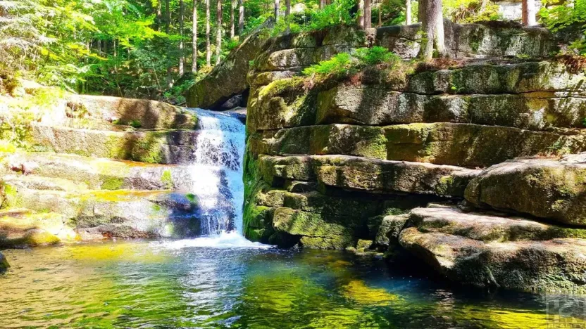 Prodej pozemku, Desná - Desná I, Údolní, 1668 m2