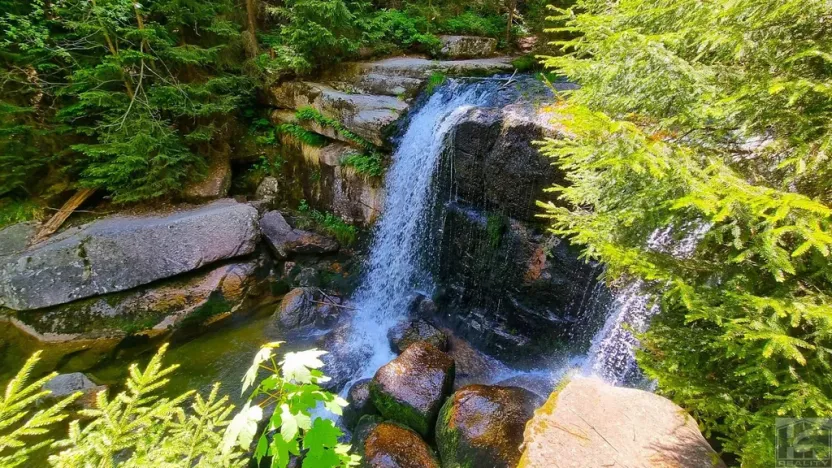 Prodej pozemku, Desná - Desná I, Údolní, 1668 m2