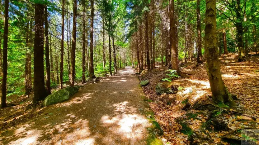 Prodej pozemku, Desná - Desná I, Údolní, 1668 m2