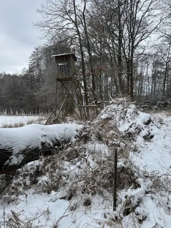 Prodej lesa, Olešník, 5100 m2