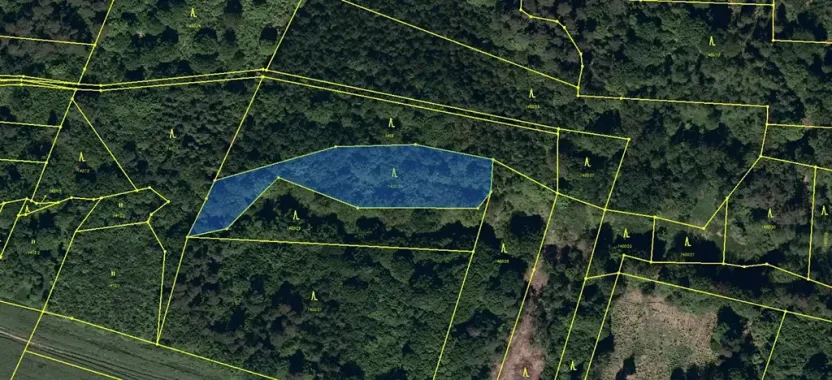 Prodej lesa, Velká Polom, 3342 m2