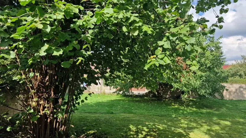 Prodej rodinného domu, Jeneč, A. Jiráska, 75 m2