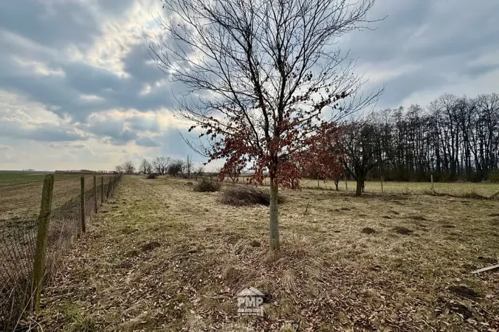 Prodej louky, Cetkovice, 3195 m2