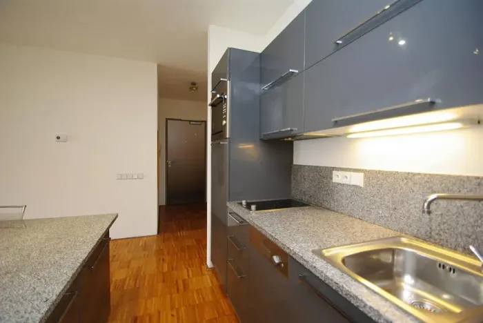 Pronájem bytu 2+kk, Praha - Žižkov, Prokopova, 58 m2