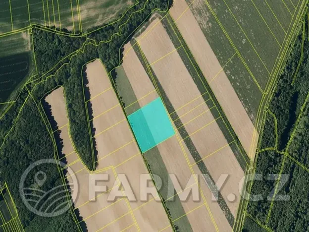 Prodej pole, Věžky, 63026 m2