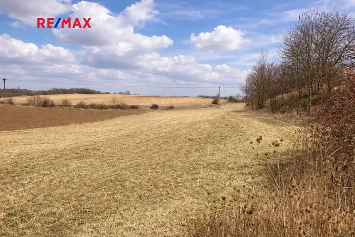 Prodej pole, Číčovice, 6121 m2