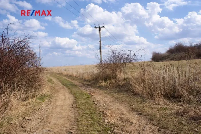 Prodej pole, Číčovice, 6121 m2