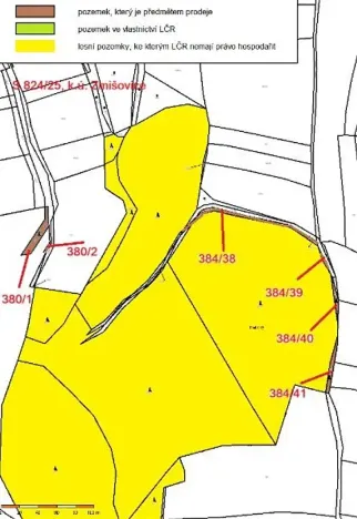 Prodej lesa, Červená Řečice, 1152 m2