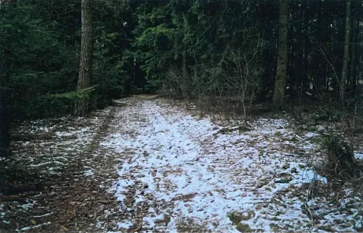 Prodej lesa, Červená Řečice, 52 m2