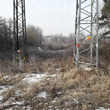 Prodej lesa, Řípec, 27546 m2