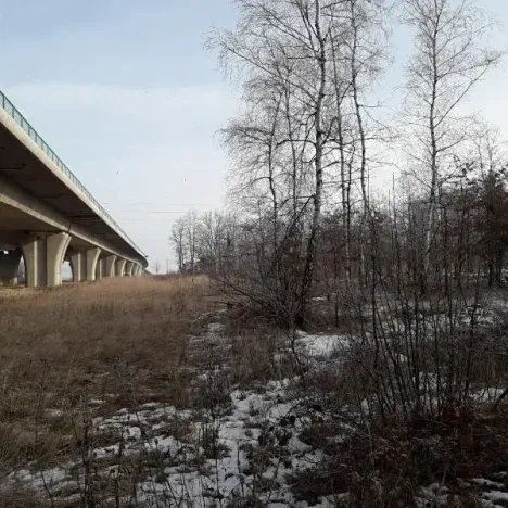 Prodej lesa, Řípec, 27546 m2