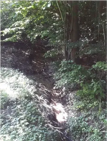 Prodej lesa, Vendryně, 3059 m2