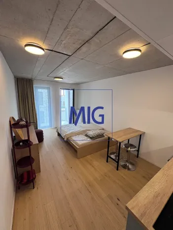 Pronájem bytu 1+kk, Brno, Bratislavská, 31 m2