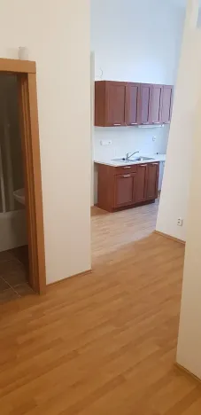 Pronájem bytu 2+1, Brno, Jana Uhra, 55 m2