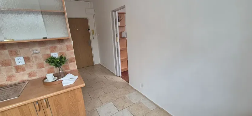 Prodej bytu 1+1, Turnov, Přepeřská, 35 m2