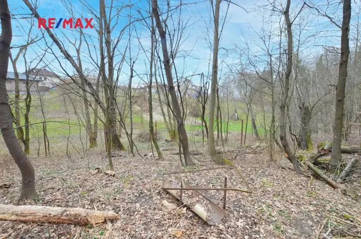 Prodej zahrady, Havířov, 1256 m2