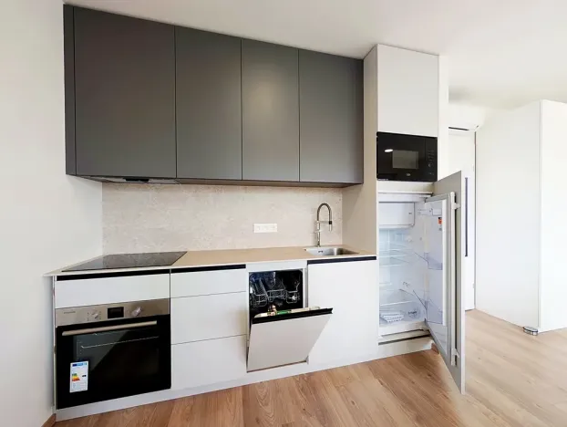 Pronájem bytu 1+kk, Mladá Boleslav, Nad Červenkou, 35 m2