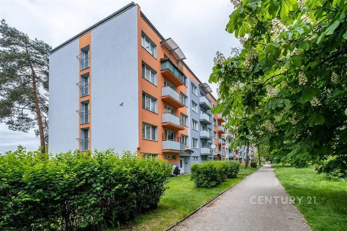 Pronájem bytu 1+kk, České Budějovice - České Budějovice 3, Plzeňská, 21 m2